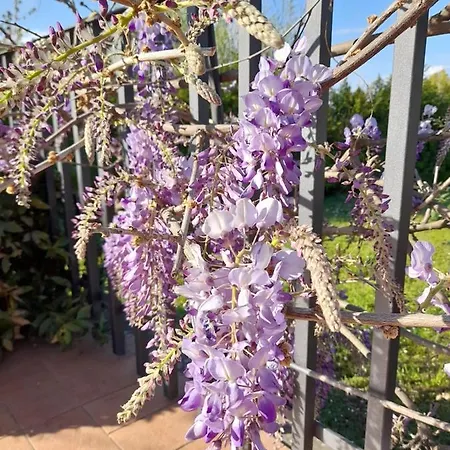 La Terrazza Di Otto-3
